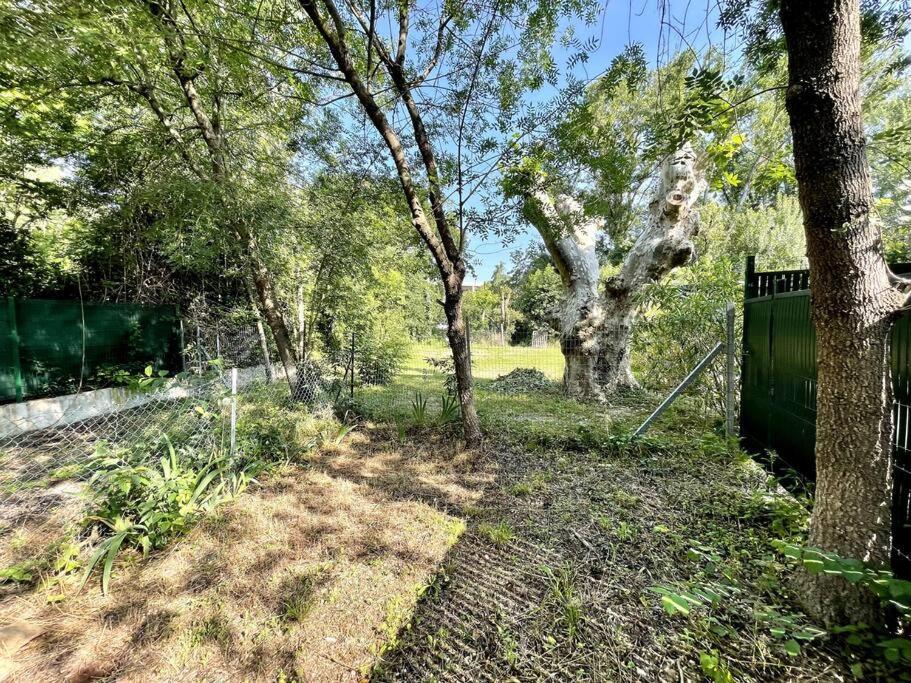 Ravissant Appartement A 5Min Du Centre Ville D'Aix Aix-en-Provence Eksteriør billede